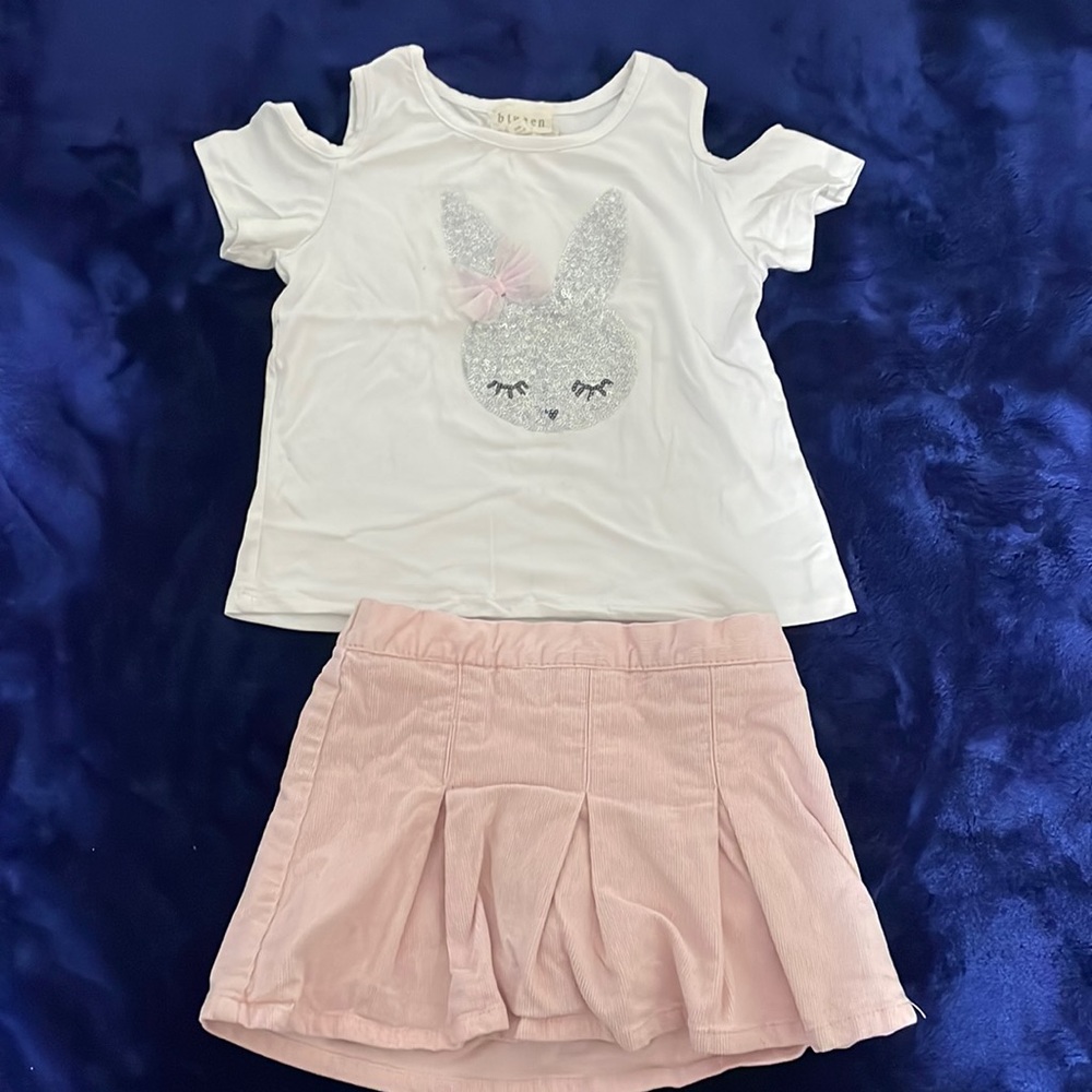 Toddler Girls Skirt and Top Set